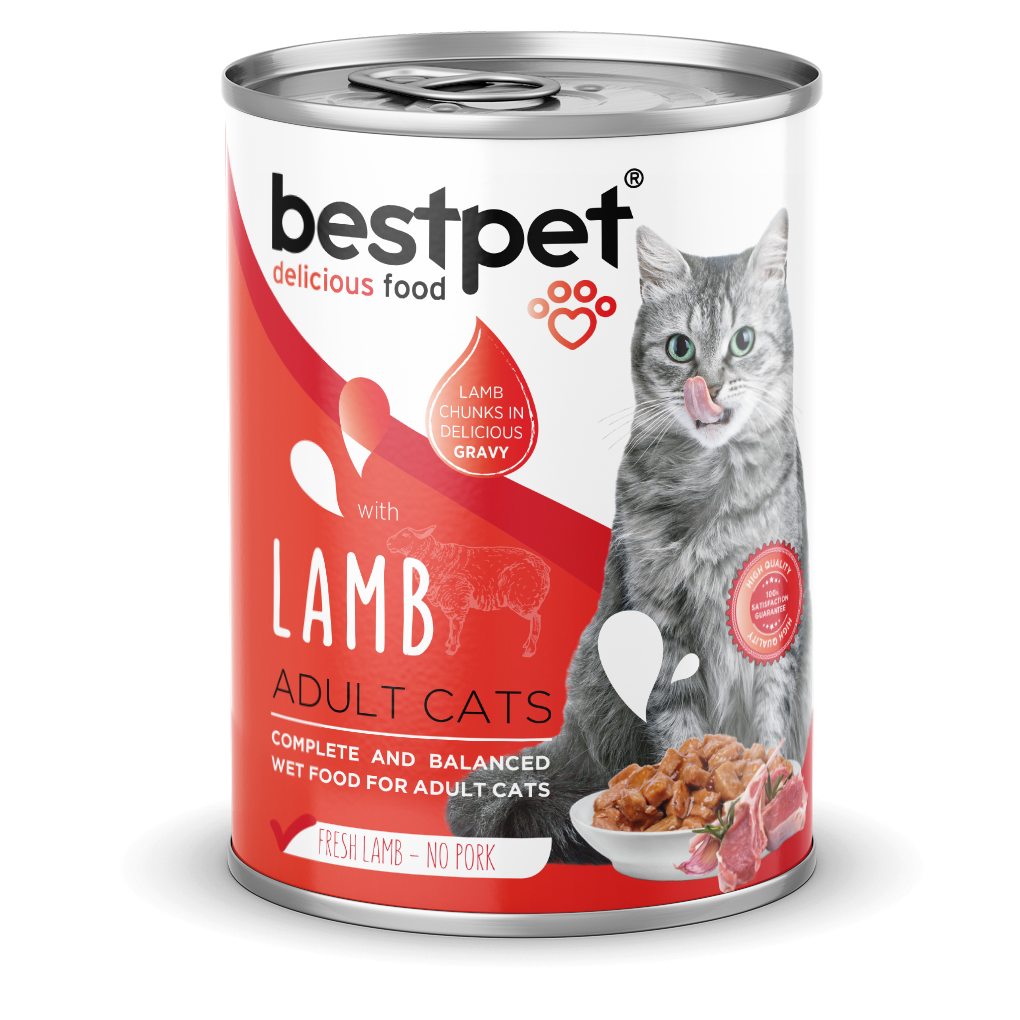 🐾 BESTPET Yetişkin Kedi Kuzu Etli Sos İçinde Yaş Mama 400g – Lezzetli ve Besleyici Ana Öğün