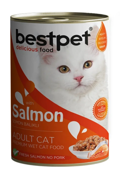 🐾 BESTPET Yetişkin Kedi Somonlu Sos İçinde Yaş Mama 400 Gr – Lezzetli ve Besleyici Ana Öğün