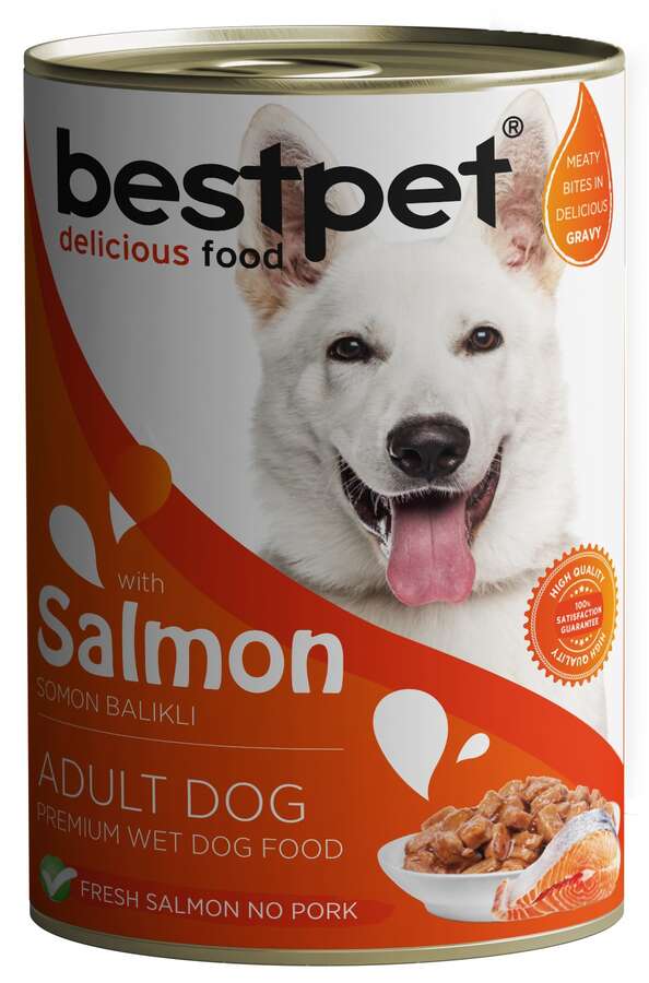 🐾 BestPet Yetişkin Köpek Somonlu Soslu Islak Mama 400g – Lezzetli ve Besleyici Ana Öğün