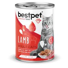 🐾 BestPet Yetişkin Kedi Kuzu Etli Sos İçinde Yaş Mama 400g – Lezzetli ve Besleyici Ana Öğün